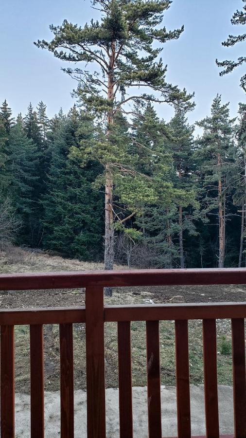 Semiramida Gardens Apartments Borovets Bagian luar foto
