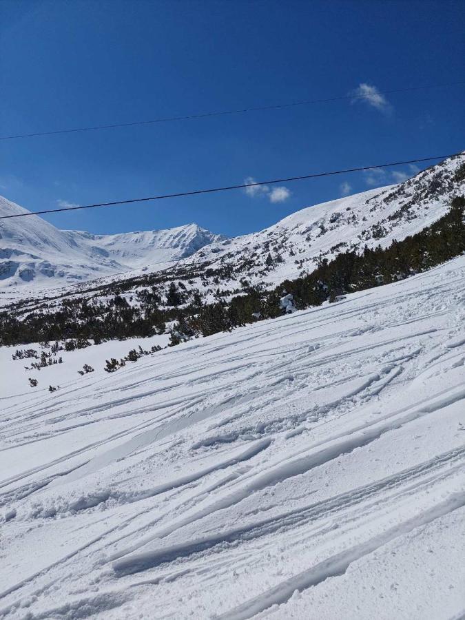Semiramida Gardens Apartments Borovets Bagian luar foto